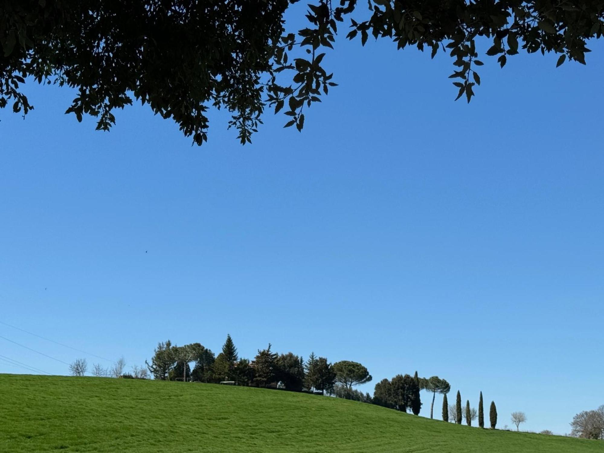 Orvieto Country House Castiglione In Teverina Exterior photo