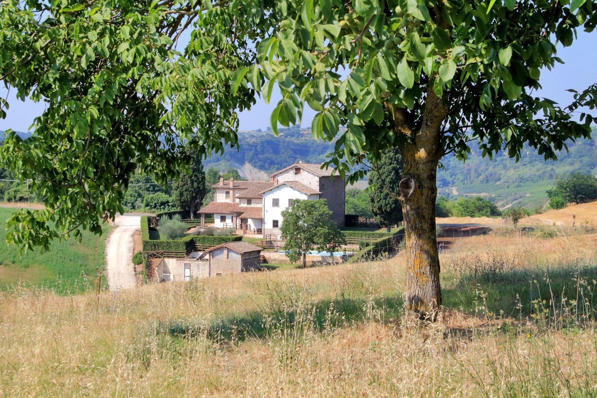 Orvieto Country House Castiglione In Teverina Exterior photo