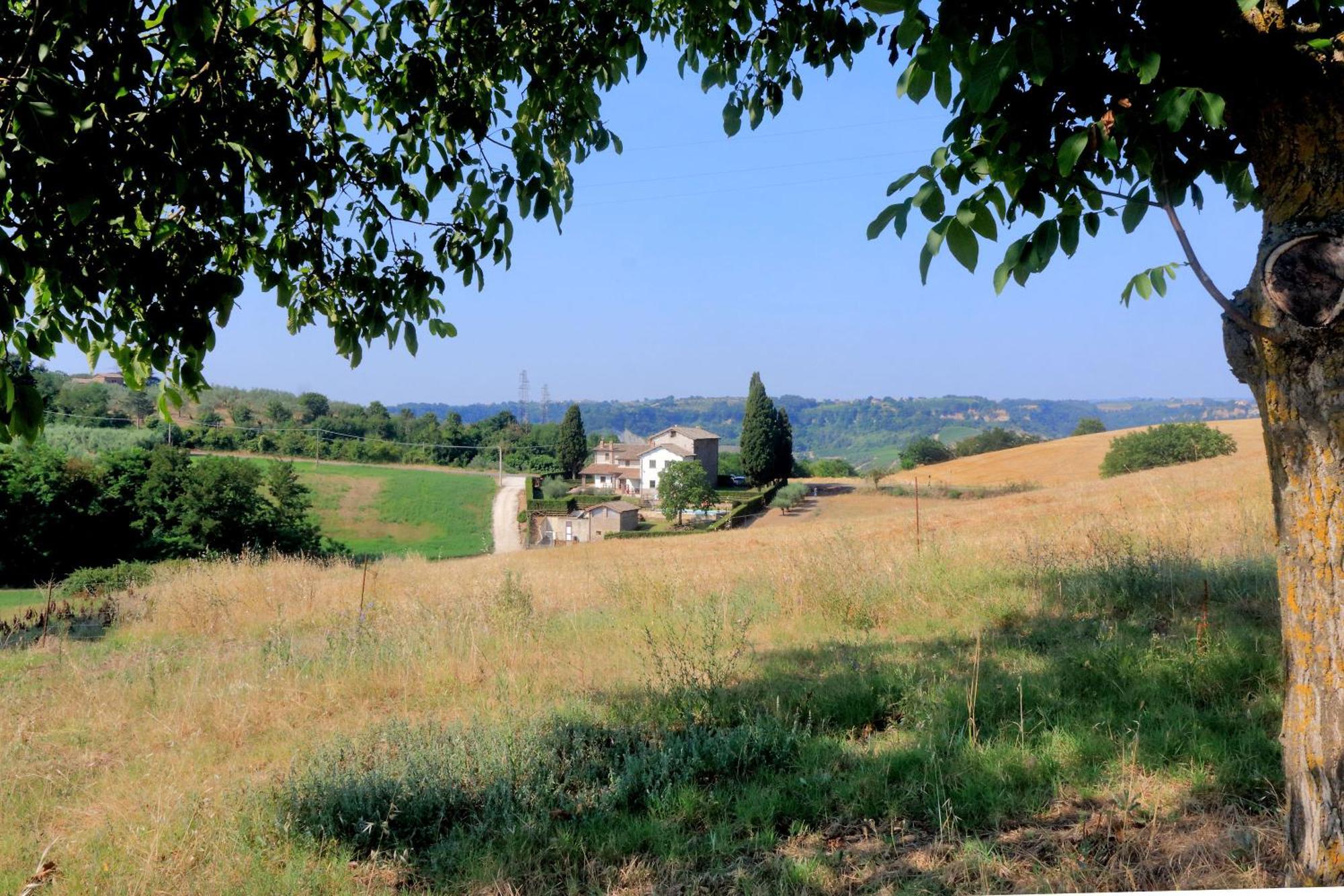 Orvieto Country House Castiglione In Teverina Exterior photo