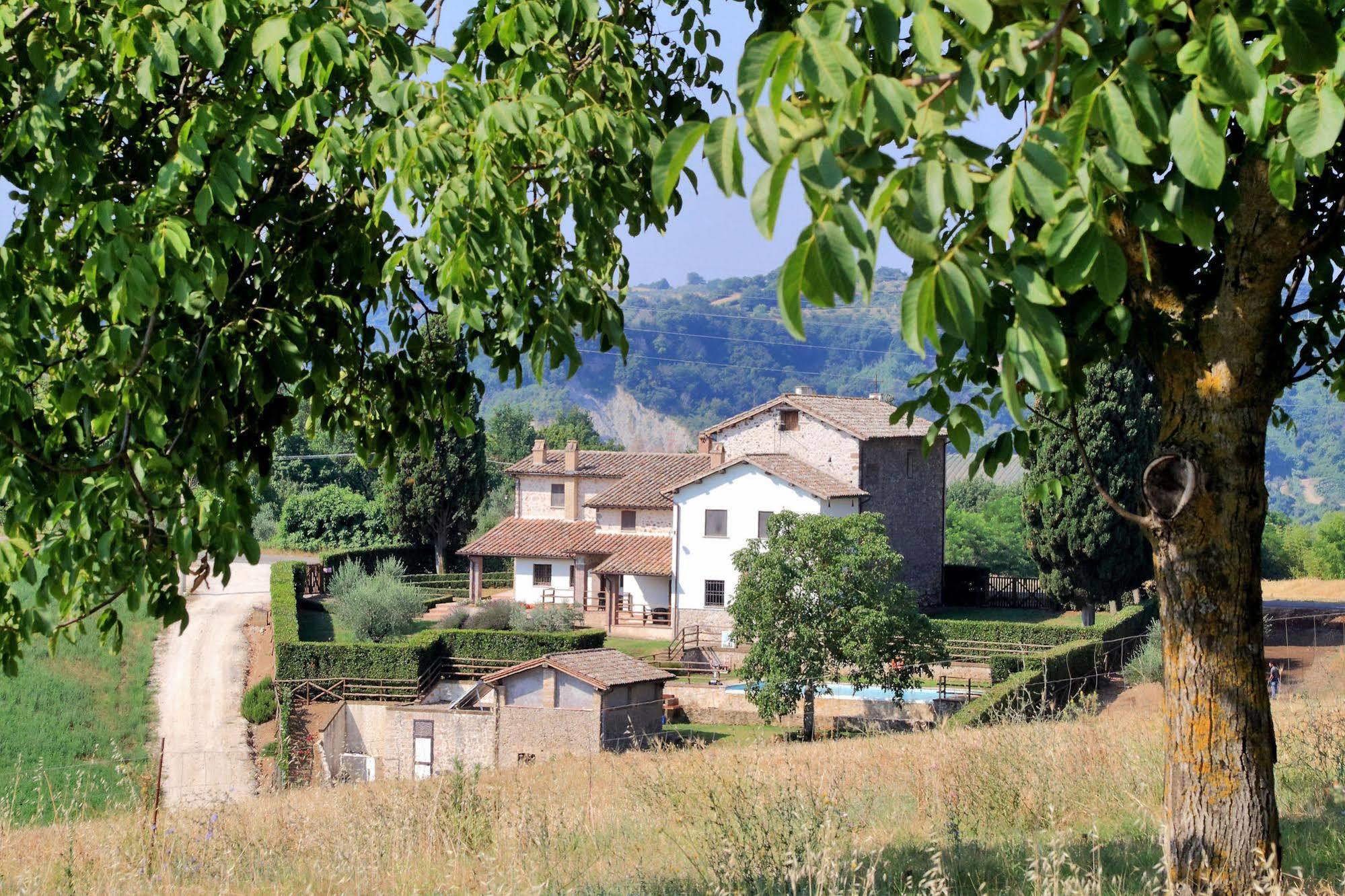 Orvieto Country House Castiglione In Teverina Exterior photo