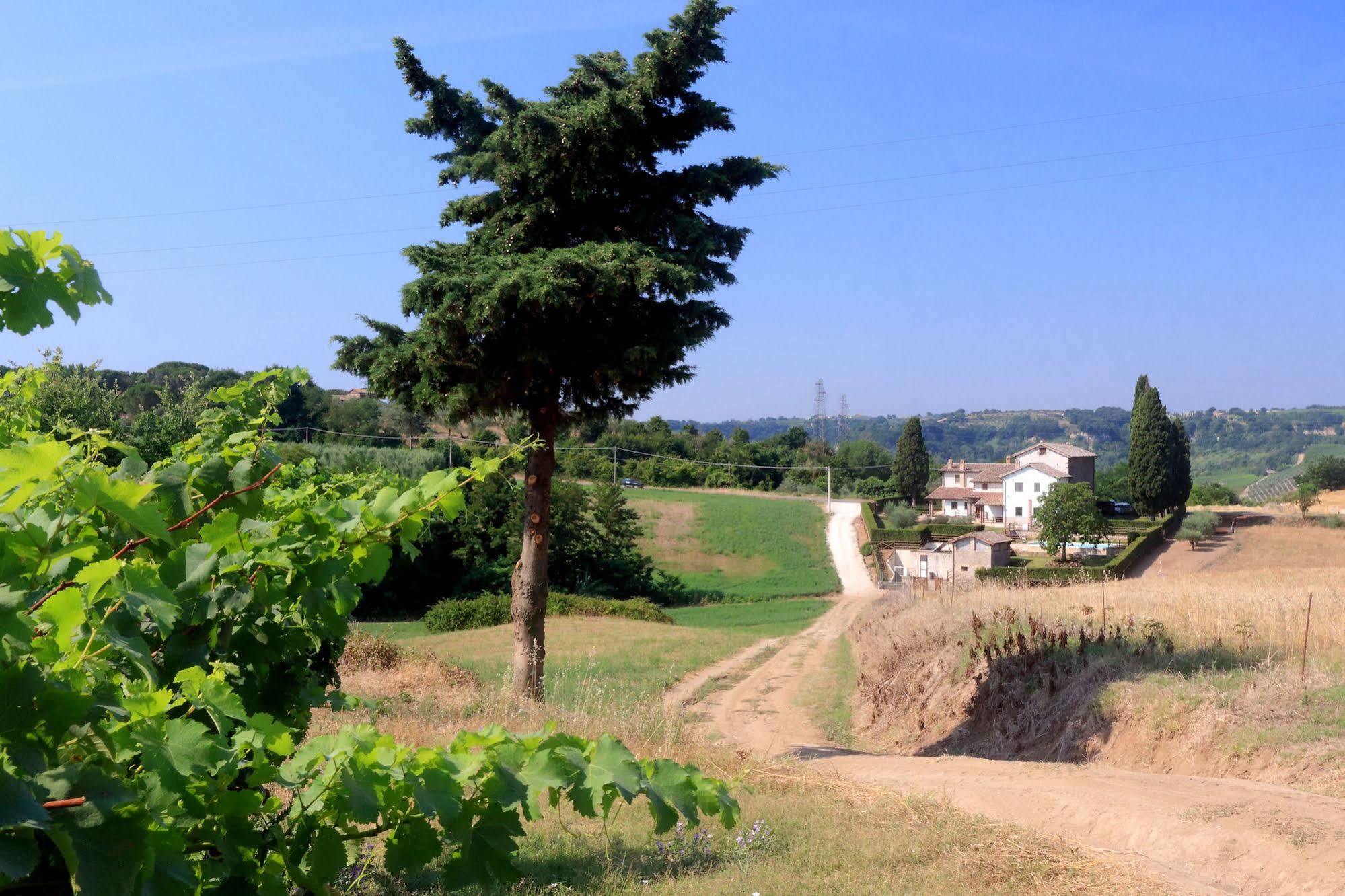 Orvieto Country House Castiglione In Teverina Exterior photo
